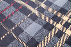 TARTAN CHECK BLUE